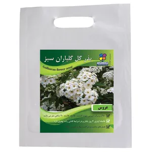 بذر  گل عروس گلباران سبز