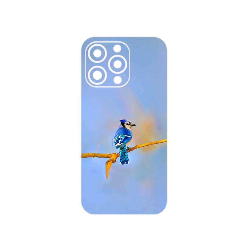 برچسب پوششی ماهوت مدل Cyanocitta cristata مناسب برای گوشی موبایل اپل iphone 13 Pro