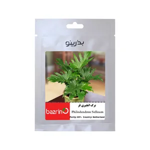 بذر گیاه برگ انجیری فر هلندی بذرینو کد BZNO-276