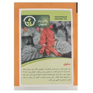 بذر گل سلوی پاکان بذر