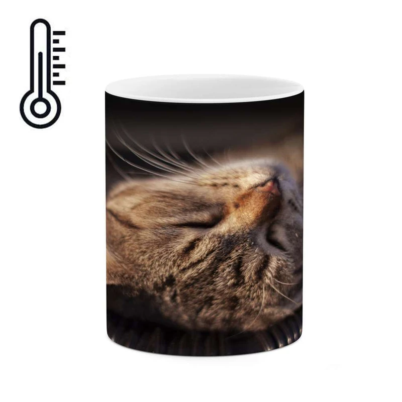 ماگ حرارتی کاکتی مدل گربه کد mgh16907