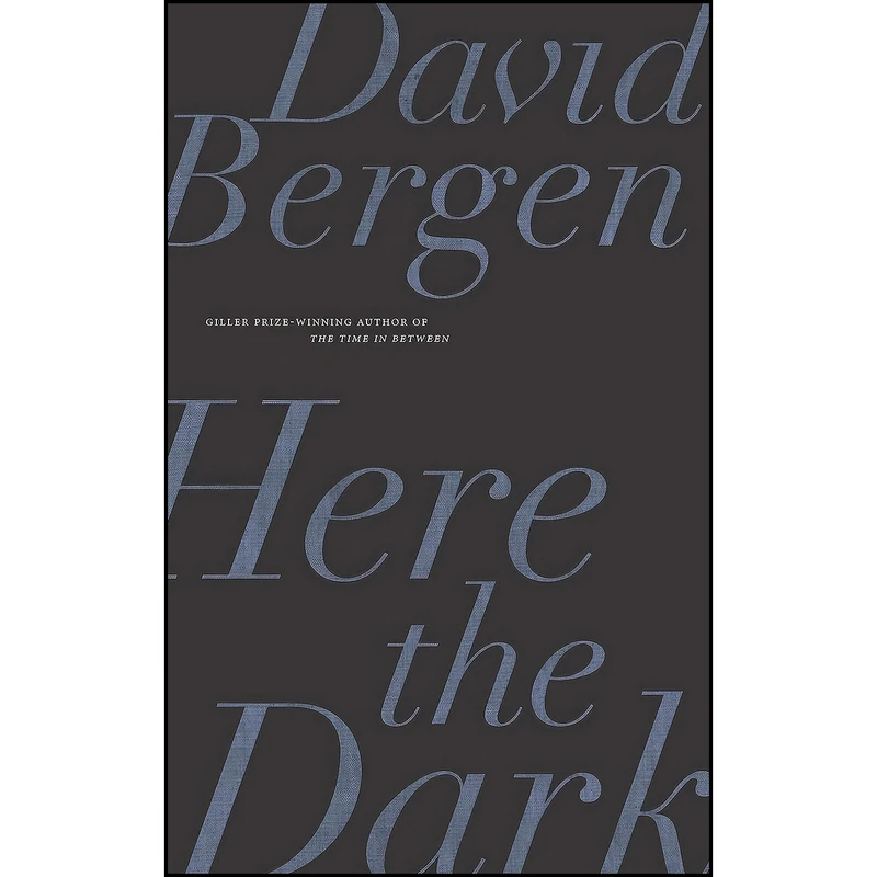 کتاب Here the Dark اثر David Bergen انتشارات Biblioasis