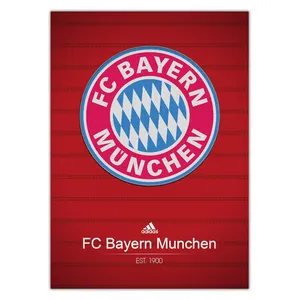 Wensoni Bayern Munchen 2016 Chassis 30x40