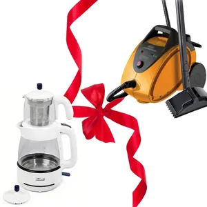 بخار شوی دلونگی مدل  SC100 و هدیه چای ساز فلر مدل TS 070