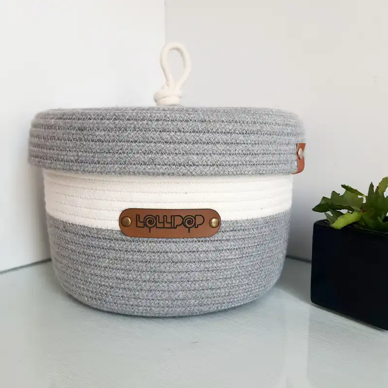 ارگانایزر لالیپاپ مدل S2