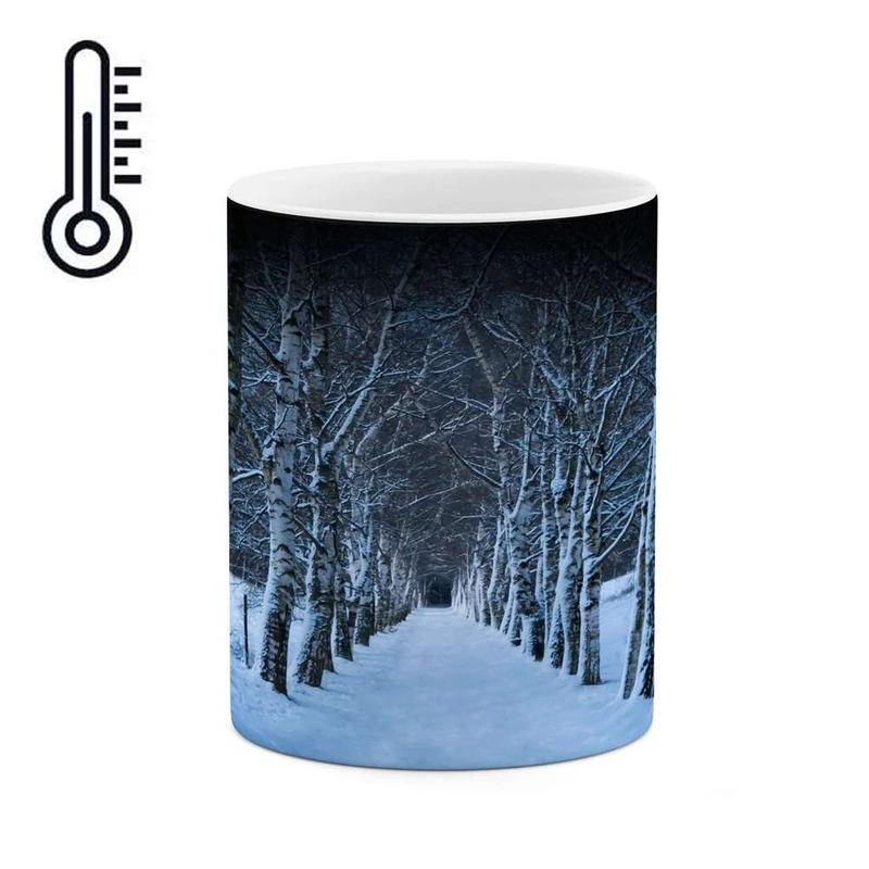 ماگ حرارتی کاکتی مدل منظره برفی کد mgh14836