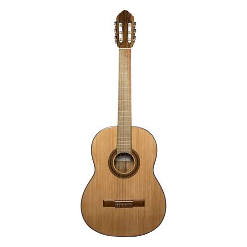گیتار کلاسیک بنبرگ مدل BG 493