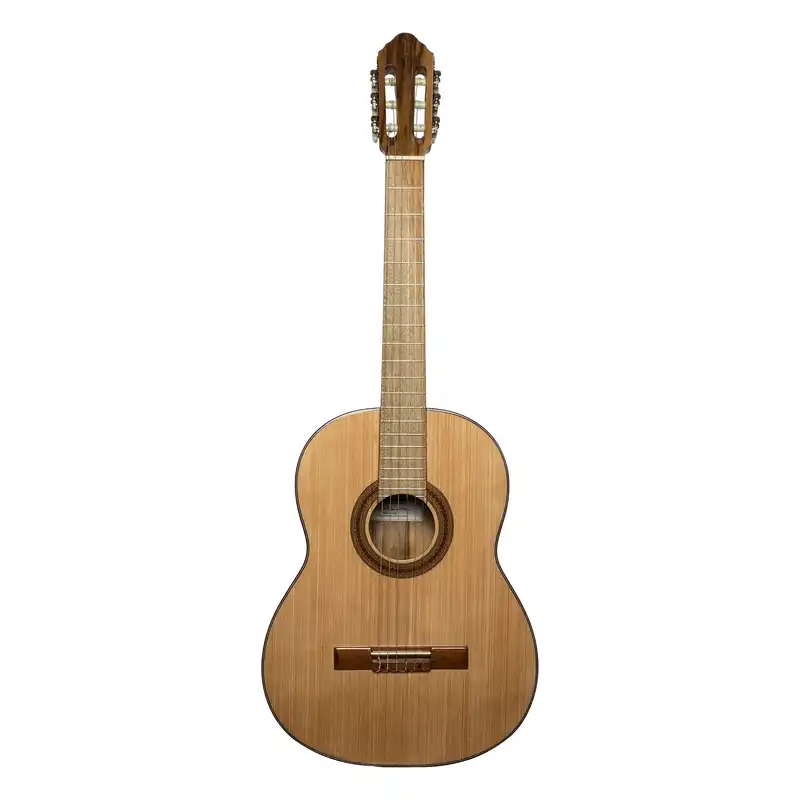 گیتار کلاسیک بنبرگ مدل BG 493