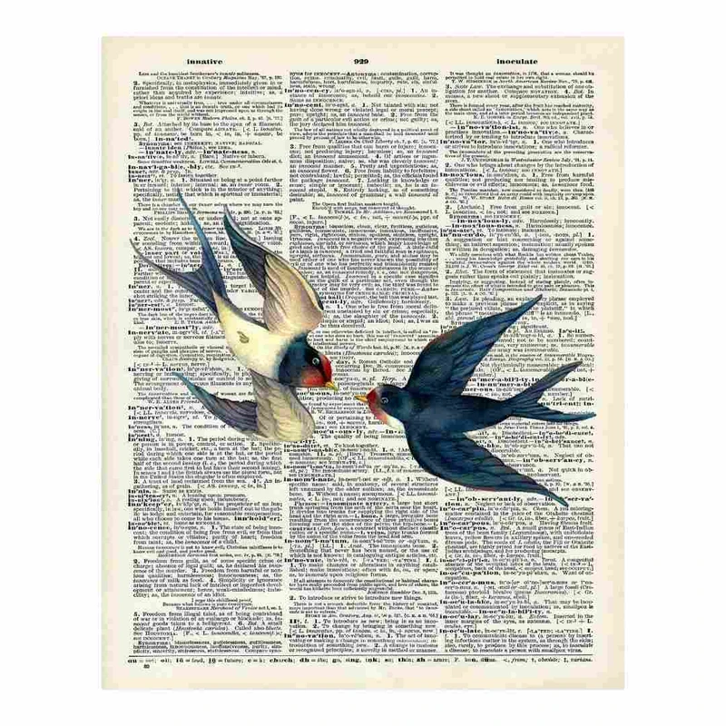 پوستر مدل پرندگان مهاجر