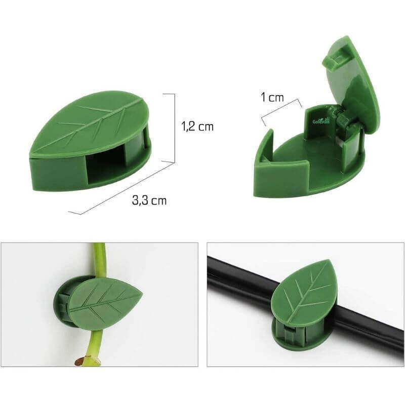 قیم بند مدل برگ بسته 25 عددی