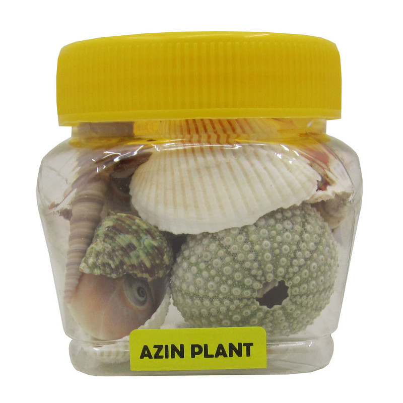 صدف تزیینی آکواریوم آذین پلنت مدل 22h وزن 140 گرم