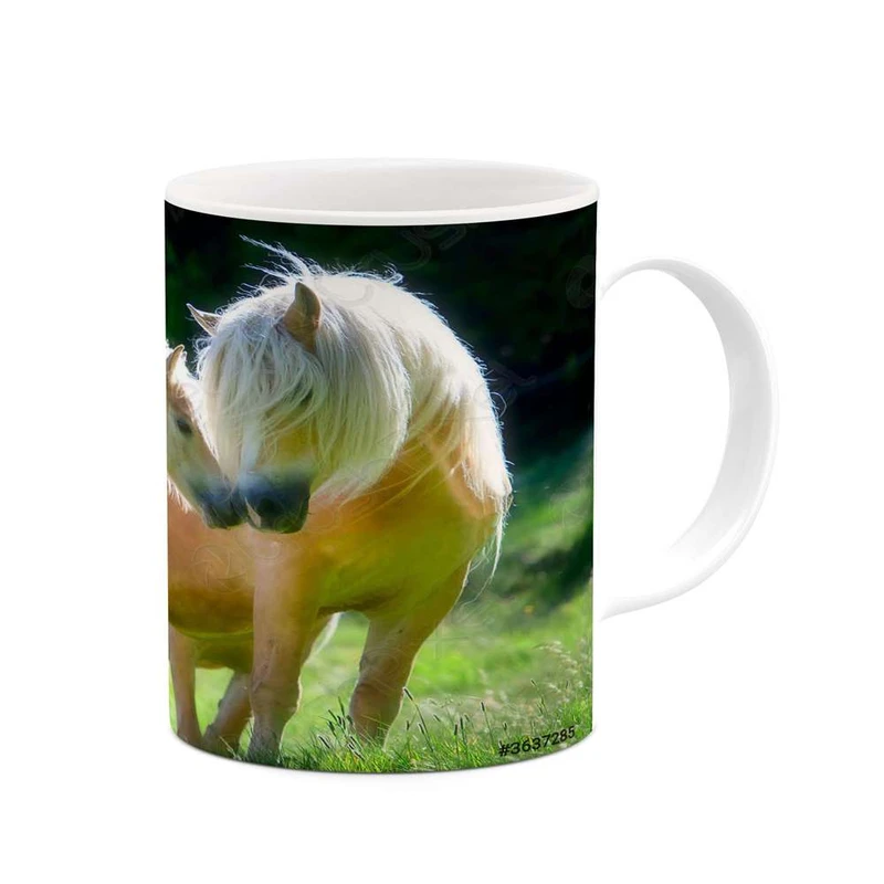 ماگ کاکتی مدل اسب کد mgh24296