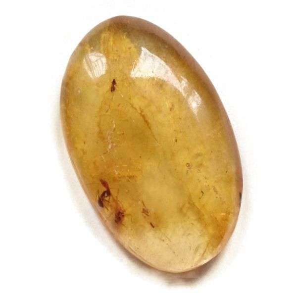 سنگ کهربا مدل حشره دار بالتیک طبیعی کد 01