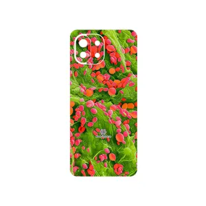 MAHOOT Atom Universe 3 Cover Sticker for Xiaomi MI 11 LITE