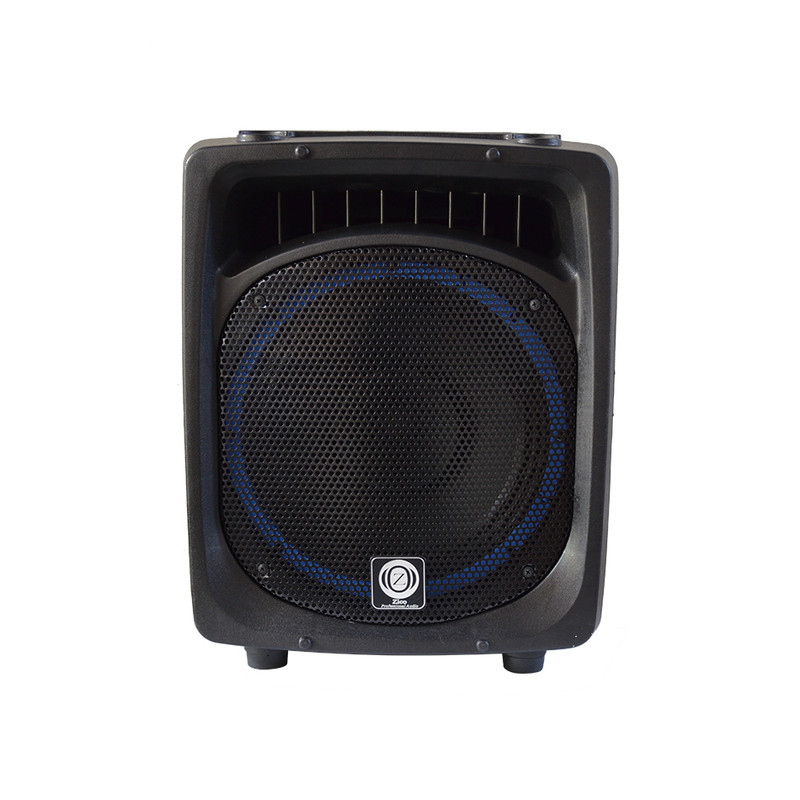 اكو همراه زیکو مدل UHF به همراه ميكروفن