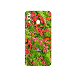 MAHOOT Atom Universe 3 Cover Sticker for Samsung Galaxy M10s