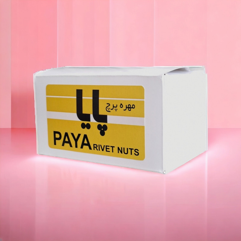 مهره پرچ پایا مدل لبه دار M4 کد PAYA69 مجموعه 100 عددی