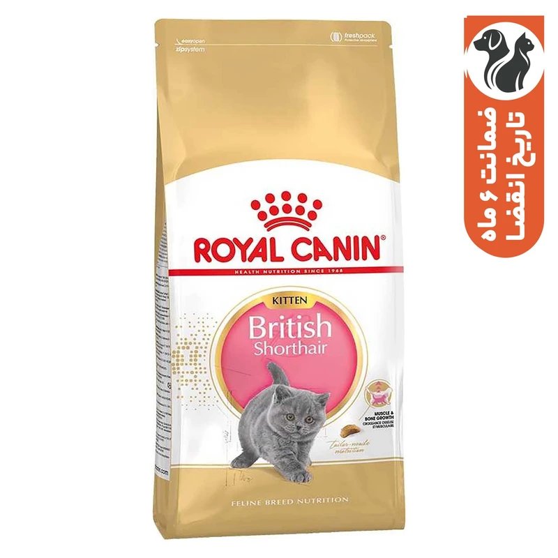 غذای خشک بچه گربه بریتیش رویال کنین مدل British Shorthair Kitten وزن 2 کیلوگرم