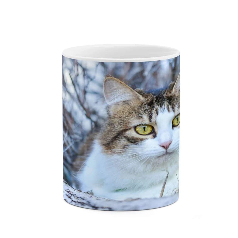 ماگ کاکتی مدل گربه کد mgh14742