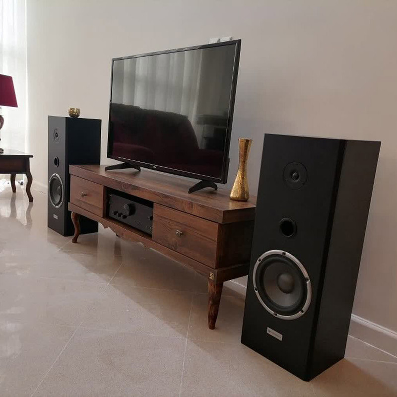 پخش کننده خانگی نظریان الکترونیک مدل A101