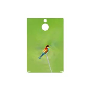 MAHOOT European bee-eater Cover Sticker for BlackBerry Passport Silver Edition