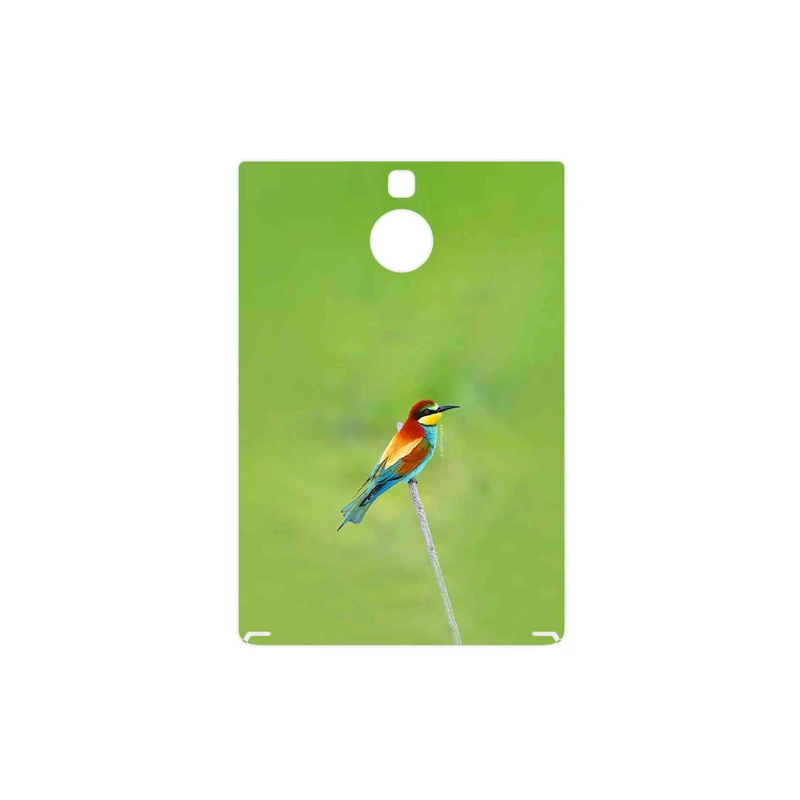 برچسب پوششی ماهوت مدل European bee-eater مناسب برای گوشی موبایل بلک بری Passport Silver Edition