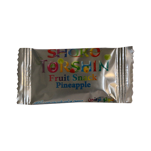 لواشک پذیرایی ترشین - 8 گرم
