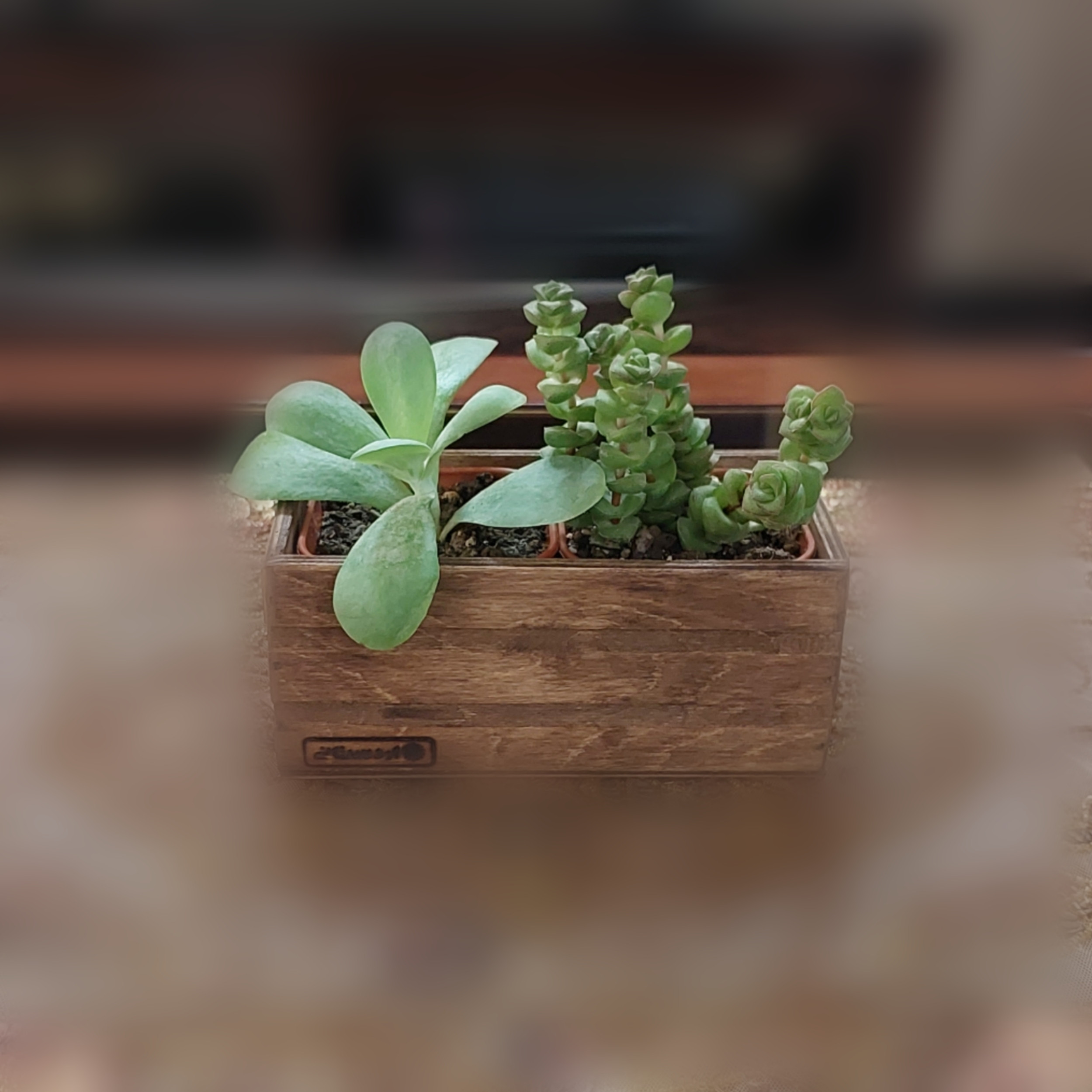 گلدان مدل 22