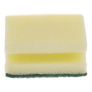 Home Plus 5130640 Scouring Pad