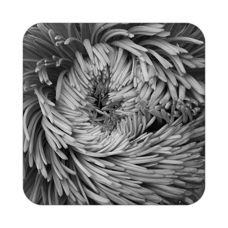 زیر لیوانی کاکتی طرح گل مدل mp16418