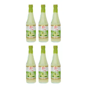 آبلیمو ربیع  - 450 گرم بسته 6 عددی