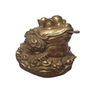 مجسمه برنزی مدل وزغ فراگ مانی طرح ژائو سکه دار کد CHINA1
