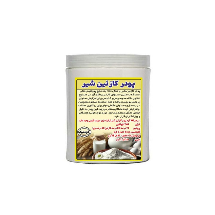 پودر کازئین شیر فودنیک - 100 گرم