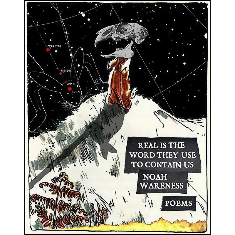 کتاب Real is the Word They Use to Contain Us اثر Noah Wareness انتشارات Biblioasis