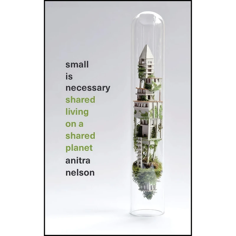 کتاب Small Is Necessary اثر Anitra Nelson انتشارات Pluto Press