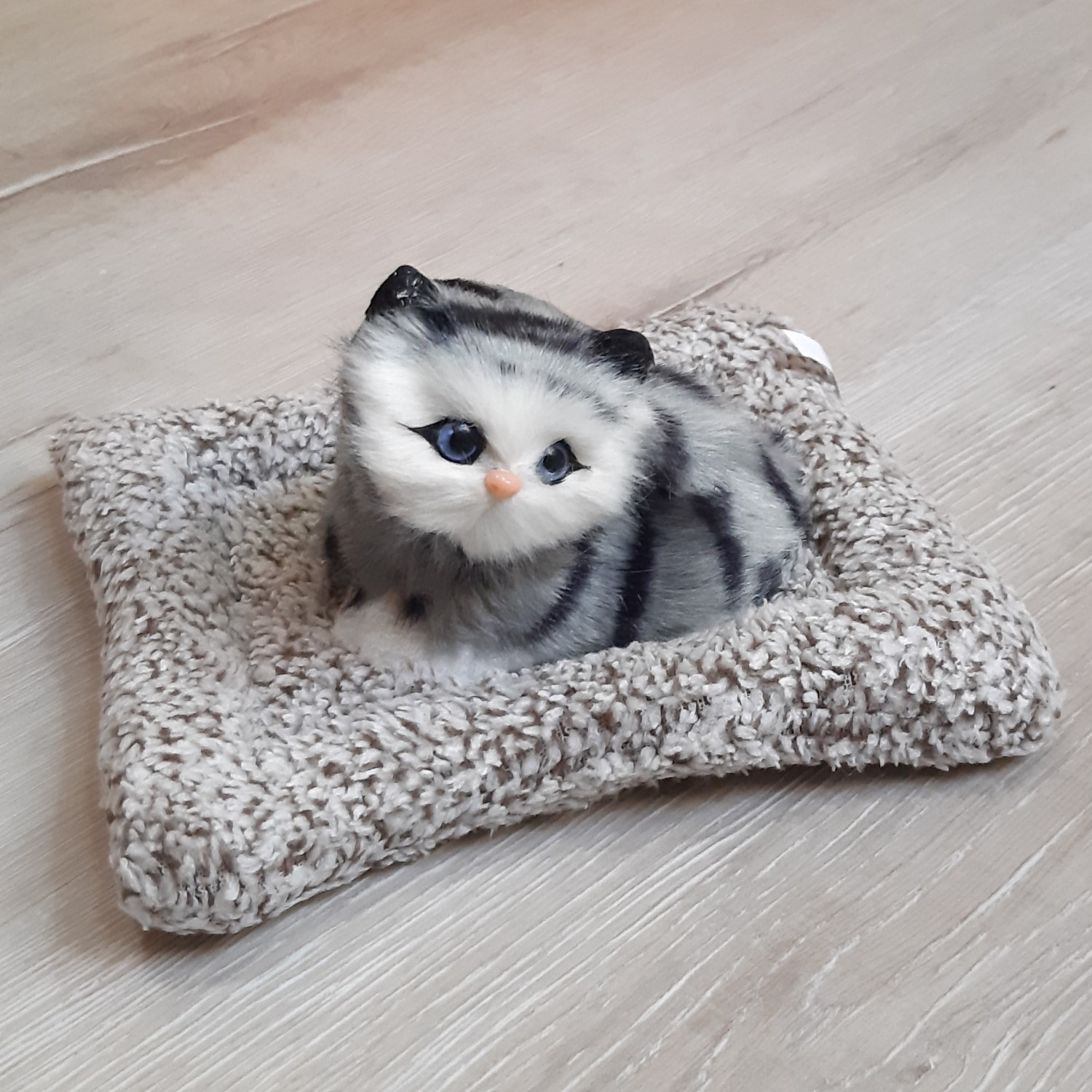 عروسک گربه مدل خوابیده روی تشک کد 04 طول 20 سانتی متر