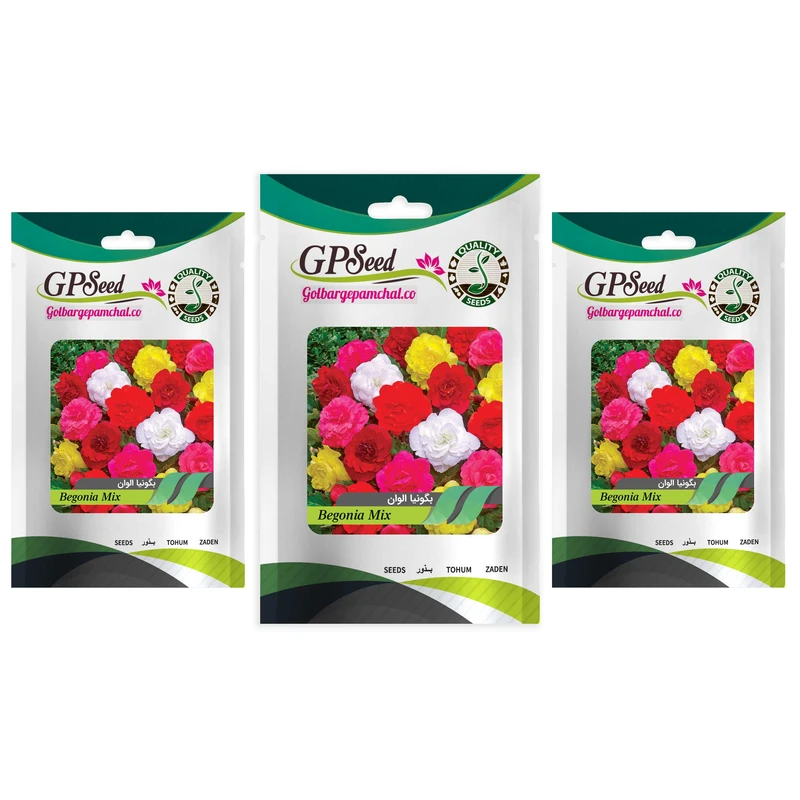 بذر گل بگونیا الوان گلبرگ پامچال کد GPF-280 مجموعه 3 عددی 