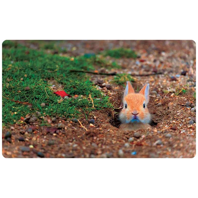 پادری طرح خرگوش در طبیعت مدل 3151 سایز 76x46 سانتی متر