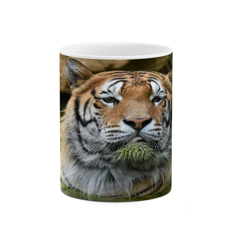 ماگ کاکتی مدل ببر کد mgh16649