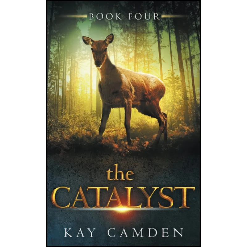 کتاب The Catalyst  اثر Kay Camden انتشارات تازه ها