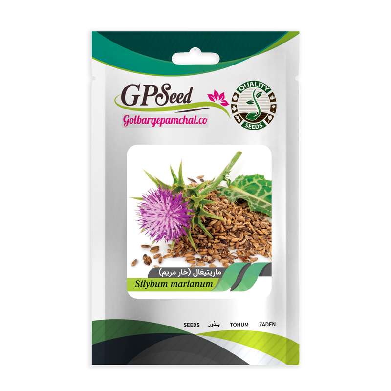 بذر گیاه دارویی خارمریم گلبرگ پامچال کد GPF-301