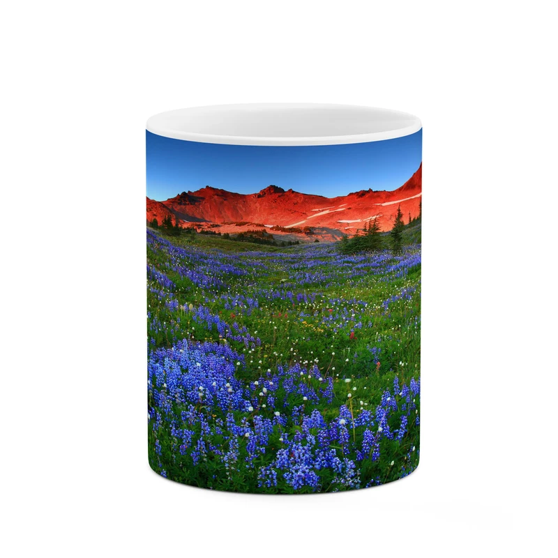 ماگ کاکتی مدل منظره کد mgh17815