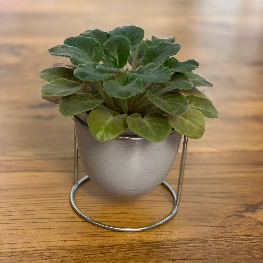 گلدان مدل پایه دار v01 گلدان مدل پایه دار v01