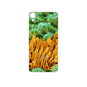 MAHOOT Atom Universe 6 Cover Sticker for HTC Desire 10 Lifestyle