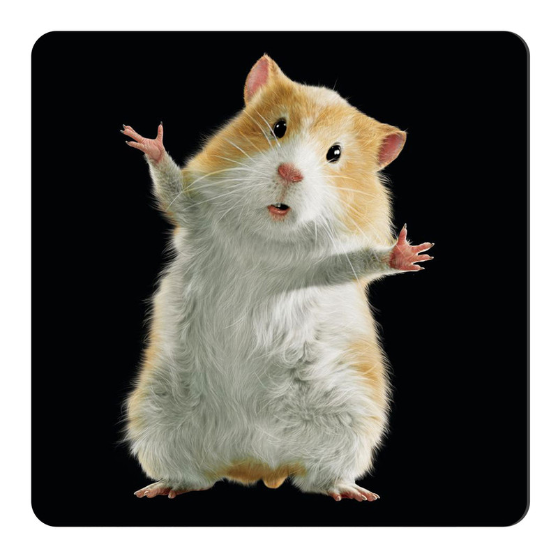 قیمت و خرید مگنت طرح همستر بامزه کد NIM3247