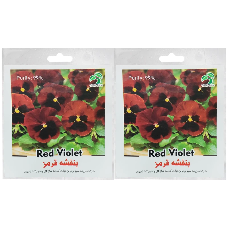 بذر گل بنفشه قرمز گرین فارم کد GRB 1 بسته 2 عددی