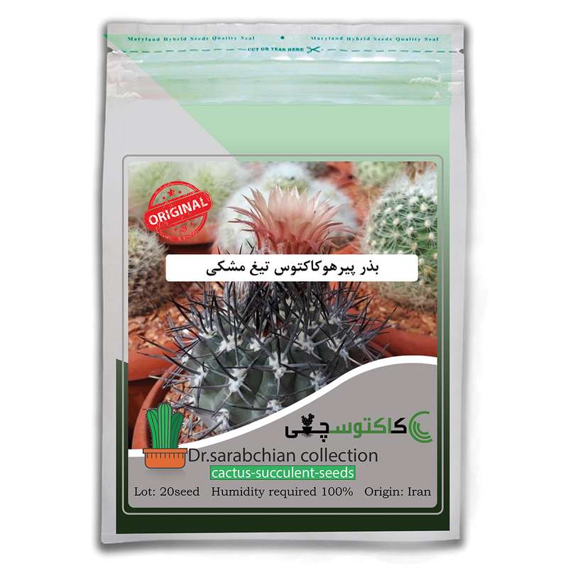بذر پیرهوکاکتوس تیغ مشکی کاکتوسچی مدل AM-029