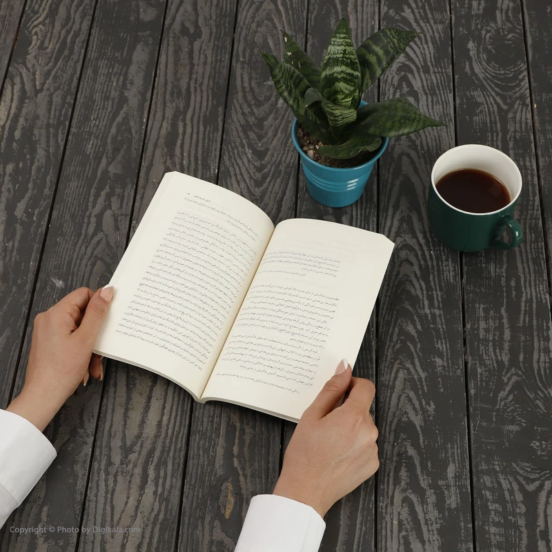 عکس شماره 2 : کتاب هر بار که معنی زندگی را فهمیدم عوضش کردند اثر دانیل مارتین کلاین نشر چشمه