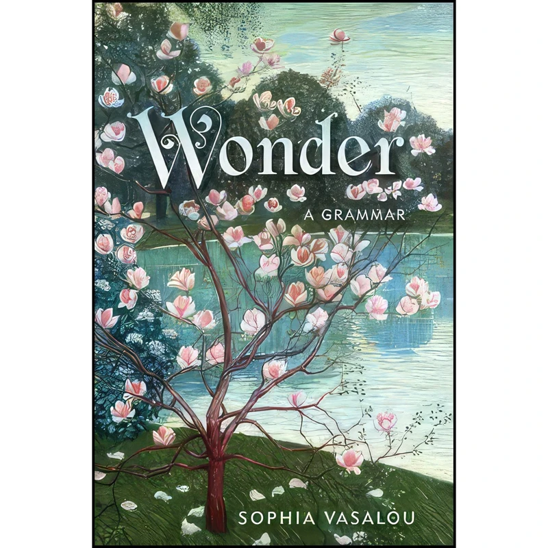 کتاب Wonder اثر Sophia Vasalou انتشارات State University of New York Press