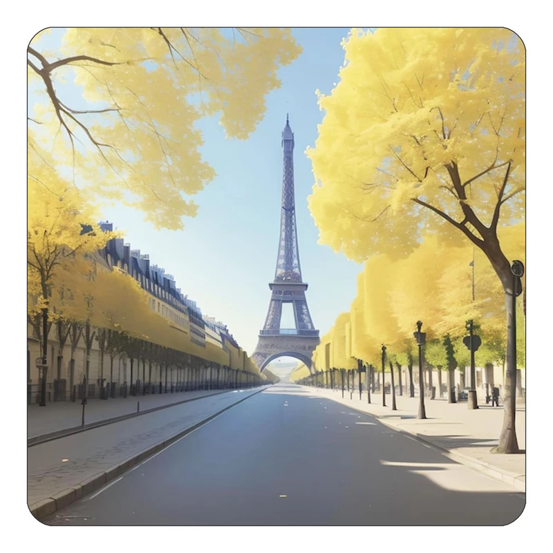 مگنت کاکتی طرح پاریس Paris مدل mp56919